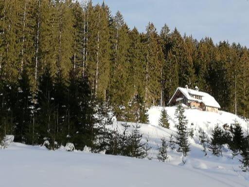 Apartment Schmaranzer Gosau