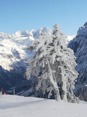 Apartment Schmaranzer