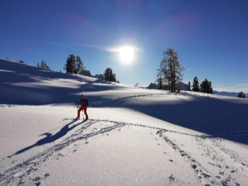 Schmaranzer Gosau