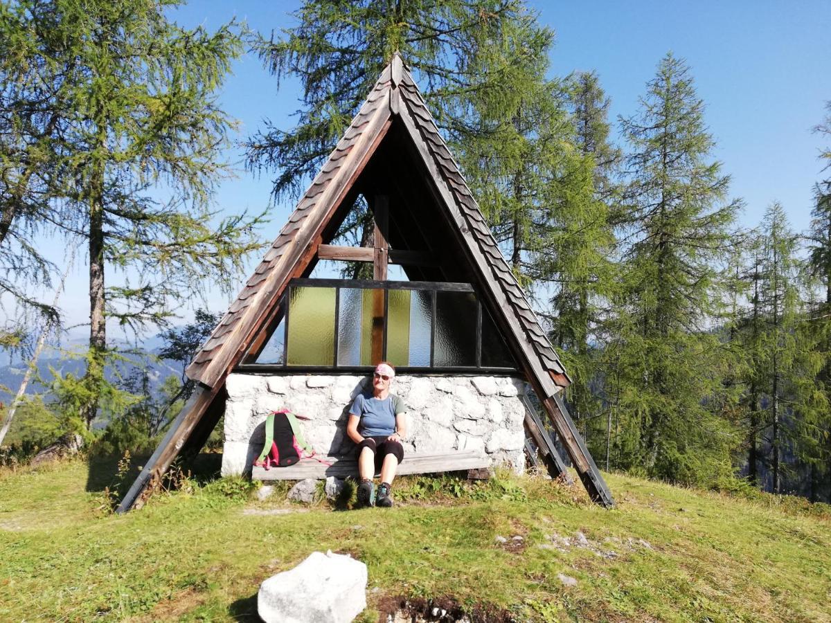 Schmaranzer