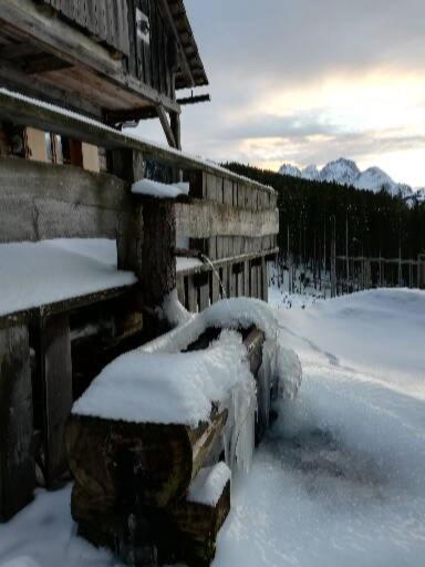 Schmaranzer *