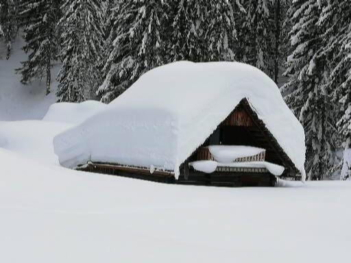 Schmaranzer *