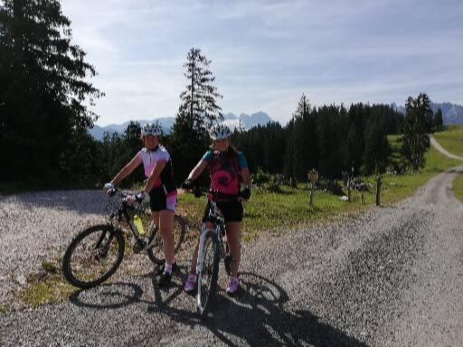 Schmaranzer Apartment Gosau
