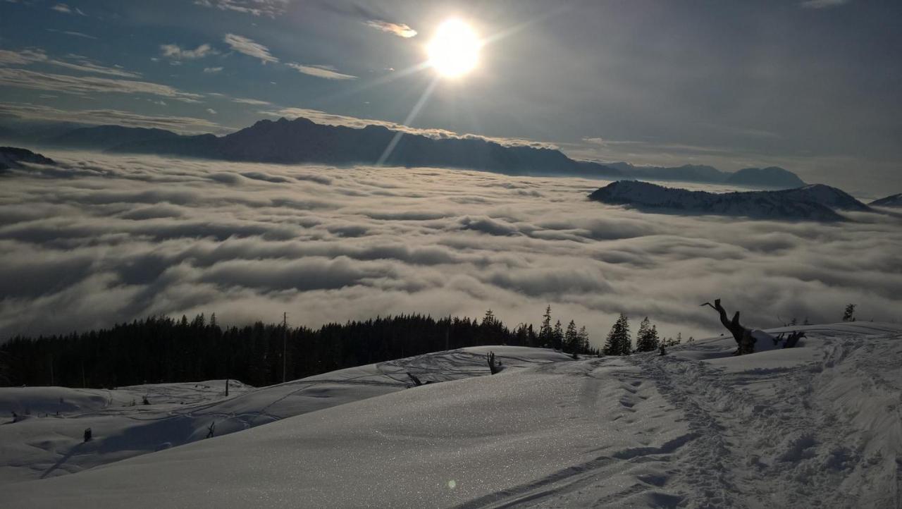 Schmaranzer *